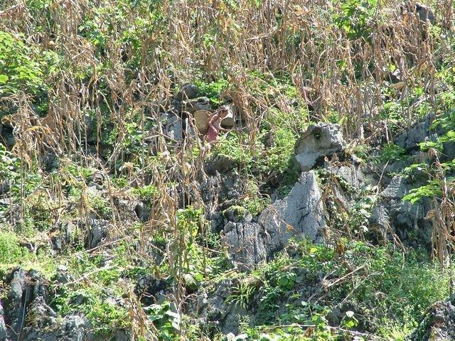 【项目故事】因土地稀少,只能在石头缝里种植玉米为生。随着九年义务教育推行营养餐和内宿生补助实施,越来越多的瑶族村落孩子开始上学。但处于教育体制“断档期”的高中三年,生活费、住宿费等费用逐渐成为特困家庭的沉重负担。