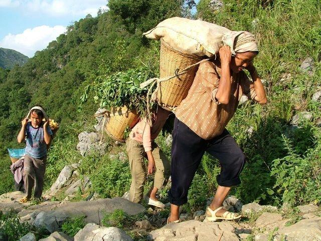 越来越多的孩子不得不选择辍学。对于他们,只要有机会,他们付出同龄孩子几倍的努力。为了理想,他们挣扎奋斗,只为了不再重复父辈靠天吃饭的命运。